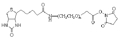 生物素-聚乙二醇-琥珀酰亚胺NHS酯 Biotin-PEG-SCM