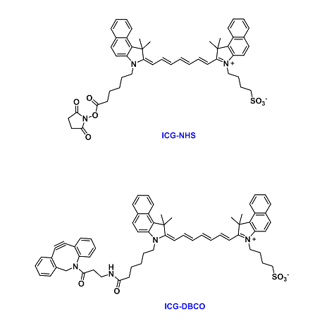 ICG-COOH、Sulfo-ICG-COOH、ICG-NHS