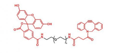  FITC-PEG-DBCO   荧光素聚乙二醇二苯基环辛炔