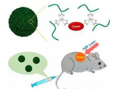 ICG-HES-SS-DOX，荧光染料包载羟乙基淀粉标记阿霉素