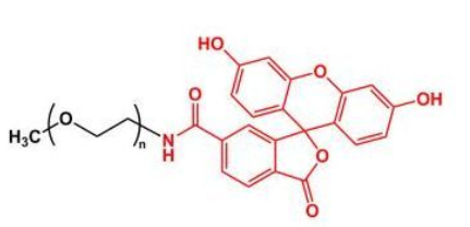 甲氧基聚乙二醇荧光素   mPEG-Fluoresein    mPEG-FITC