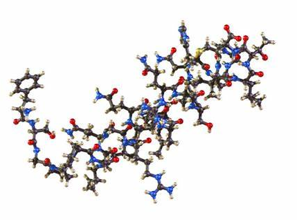 CAG多肽修饰磁性四氧化三铁纳米颗粒