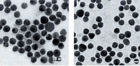 多肽修饰FeO磁性纳米颗粒