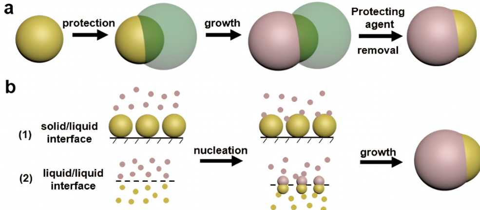 富精氨酸多肽修饰的Fe2O3@Au纳米粒子