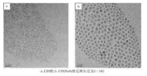 CuInS2/ZnS-PEG量子点