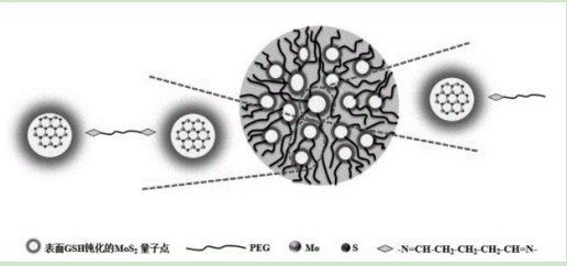 mos2-peg纳米微球 mos2-peg纳米微球