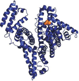 Valeric Acids-PEG-BSA	缬草酸-聚乙二醇-牛血清白蛋白