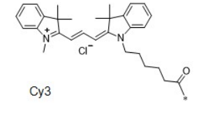 Cy3花氰染料  CAS号:1284240-77-2
