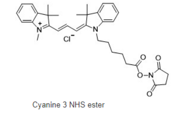 Cy3 NHS ester，cas:146368-16-3，Cy3-琥珀酰亚胺/活化酯