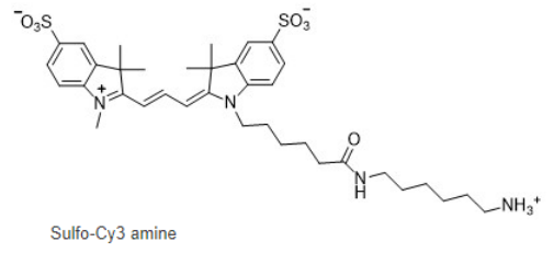 Sulfo-Cyanine3 amine，cas:2183440-43-7，水溶性CY3氨基