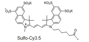 sulfo-Cy3.5 sulfo-Cy3.5