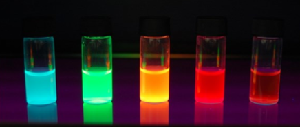 Ovalbumin-PEG-Cyanine5.5	鸡卵白蛋白-聚乙二醇-菁染料CY5.5	Cy5.5-PEG-OVA