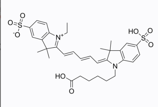 麦芽糖-菁染料CY5