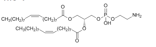 麦芽糖-二油酰基磷脂酰乙醇胺 麦芽糖-二油?;字R掖及? width=