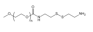 mPEG-SS-NH2 甲氧基聚乙二醇-双硫键-氨基 mPEG-SS-Amine