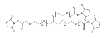 八臂PEG活性酯  8 arm PEG NHS 40 K   