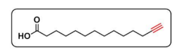 Alkynyl Myristic Acid  炔基-十四炔酸 CAS号：82909-47-5