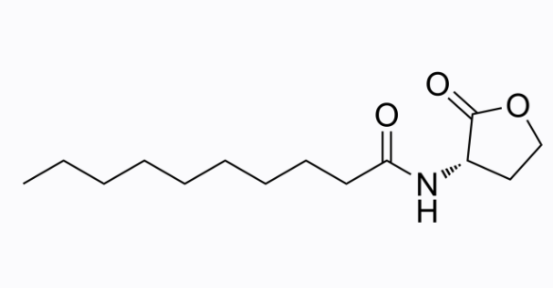 cas:177315-87-6 N-Decanoyl-L-homoserine lactone活性氧分子