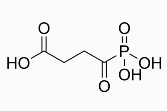 cas:26647-82-5 Succinyl phosphonate 活性氧分子