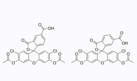 cas:127770-45-0 5(6)-Carboxy-2',7'-dichlorofluorescein diace
