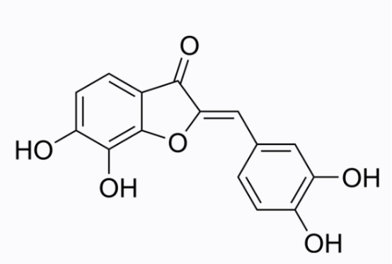 cas:576-02-3 Maritimetin 活性氧分子