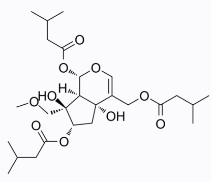 cas:2756016-53-0 Heterophdoid A ROS小分子