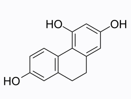 cas:70205-52-6 2,4,7-Trihydroxy-9,10-dihydrophenanthrene活性氧簇