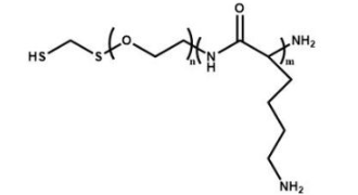 巯基聚乙二醇聚赖氨酸 HS-PEG-PLL