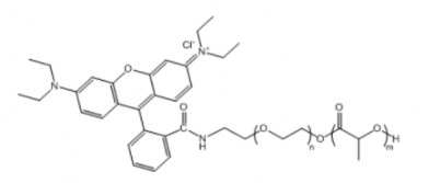 聚乳酸-聚乙二醇-罗丹明 PLA-PEG-RB