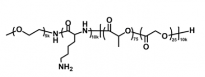 甲氧基聚乙二醇-聚赖氨酸-聚（D，L-丙交酯-co-乙交酯）共聚物 mPEG-PLL-PLGA