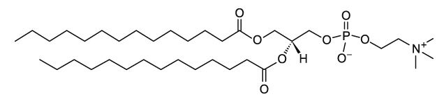 CAS：18194-24-6 DMPC (14:0 PC)  二肉豆蔻酰磷脂酰胆碱