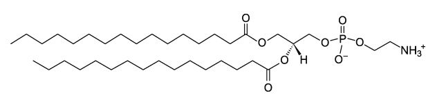 CAS：923-61-5 1,2-二棕榈酰基磷脂酰乙醇胺 DPPE (16:0 PE)   