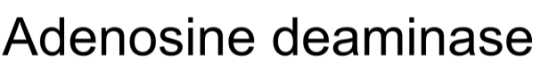 Adenosine deaminase