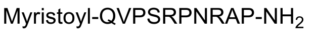 DynaMin inhibitory peptide, myristoylated