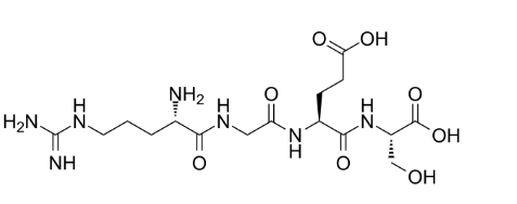 Arg-Gly-Glu-Ser