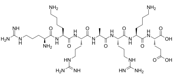 PKG inhibitor peptide