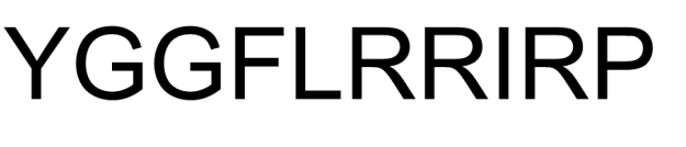 Dynorphin A (1-10) Dynorphin A (1-10)