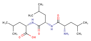 Leucyl-leucyl-leucine