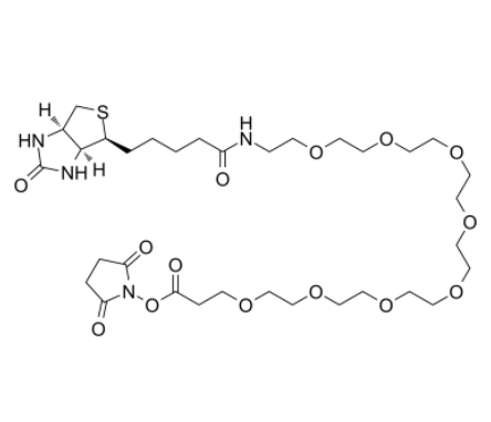 Biotin-PEG8-NHS ester 生物素-八聚乙二醇-活性酯