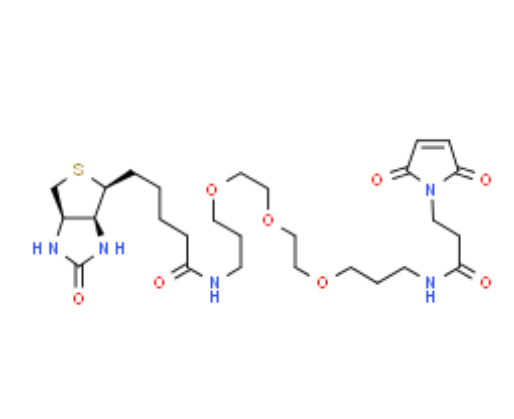 Biotin-PEG3-Maleimide 生物素-三聚乙二醇-马来酰亚胺