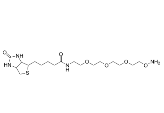 BIOTIN-PEG3-OXYAMINE 生物素-三聚乙二醇-羟胺盐酸盐
