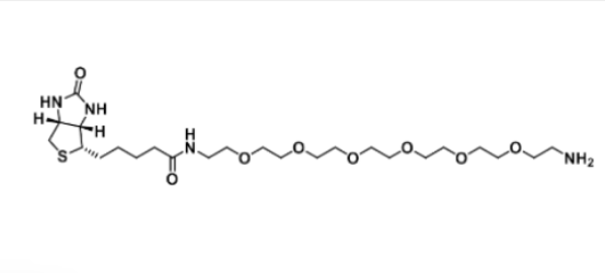 Biotin-PEG6-Amine 生物素-六聚乙二醇-氨基
