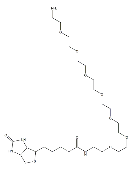Biotin-PEG7-Amine cas1334172-76-7 生物素-七乙二醇-氨基
