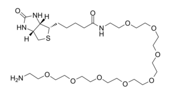 cas:2183447-27-8 Biotin-PEG8-Amine 生物素-八聚乙二醇-氨基