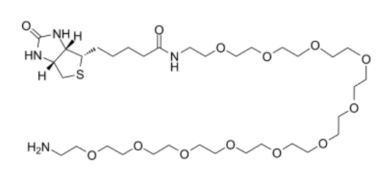 cas:1418022-42-0 Biotin-PEG11-Amine 生物素-十一聚乙二醇-氨基