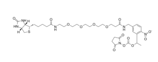 PC-Biotin-PEG4-NHS carbonate cas2055198-03-1
