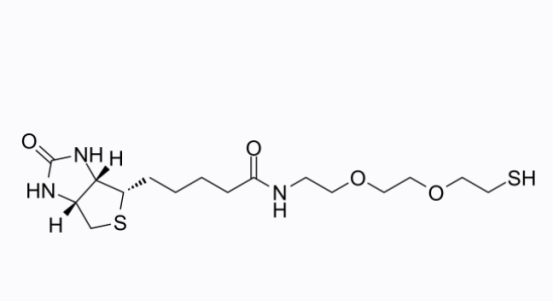 Biotin-PEG2-SH 生物素-二聚乙二醇-巯基