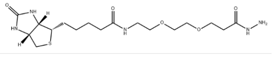 Biotin-PEG2-hydrazide cas:2413847-26-2