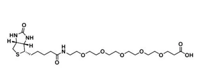 Biotin-PEG5-COOH CAS2252330-85-9 生物素-五聚乙二醇-羧基