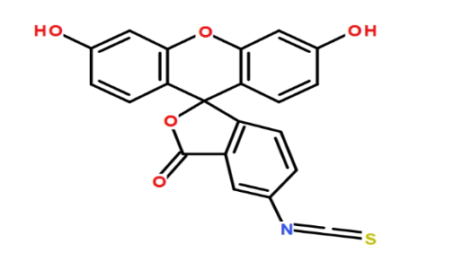 PLGA-SS-PEG-FITC，聚乳酸-羟基乙酸共聚物-二硫键-聚乙二醇-荧光素
